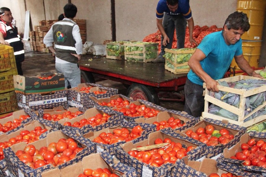 producción tomate tema contrabando fnc