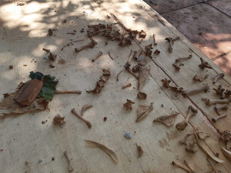 restos óseos en la que fuera la casa de veraneo del dictador stroessner