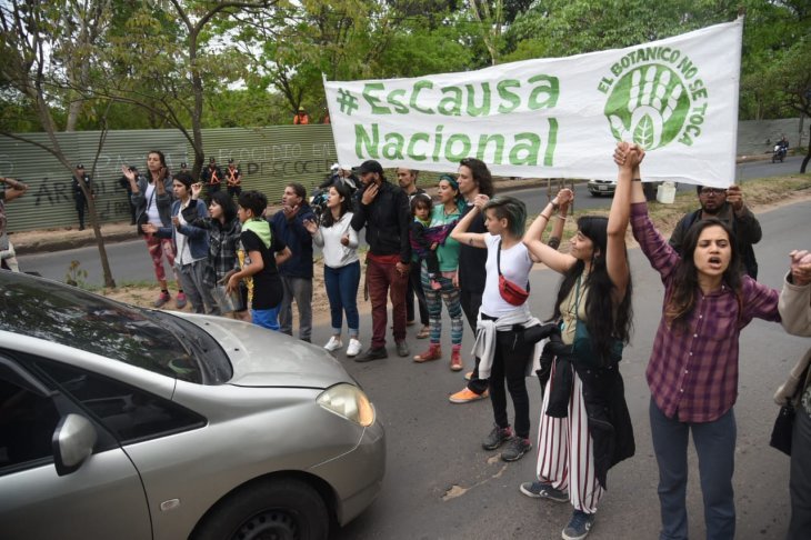 Heridos y detenidos en incidentes por tala de arboles en el Jardin Botanico DIARIO UH