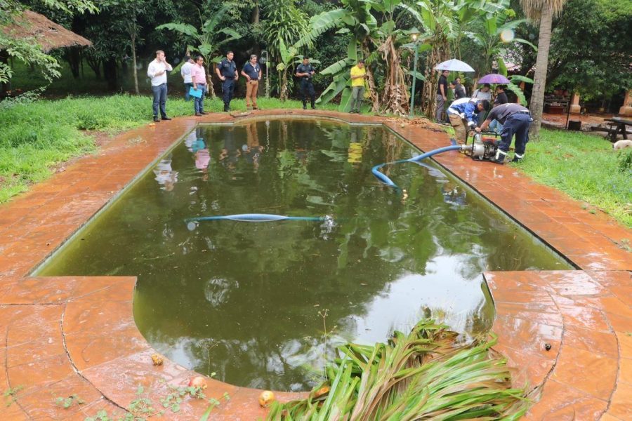 pileta piscina luque criaderos mosquitos MP FB